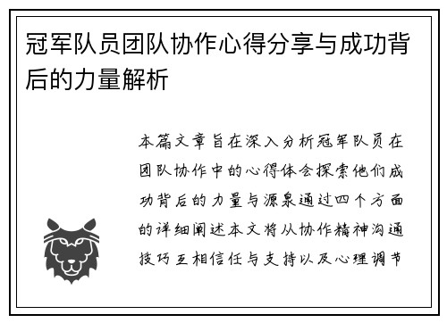 冠军队员团队协作心得分享与成功背后的力量解析